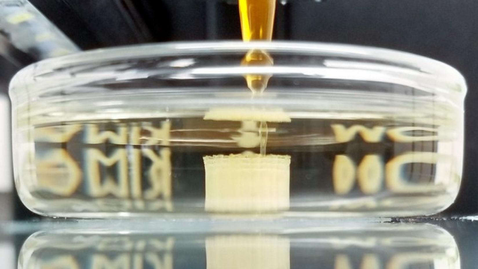 Close-up of a 3D printer nozzle extruding material into a petri dish, forming a small cylindrical structure submerged in liquid.