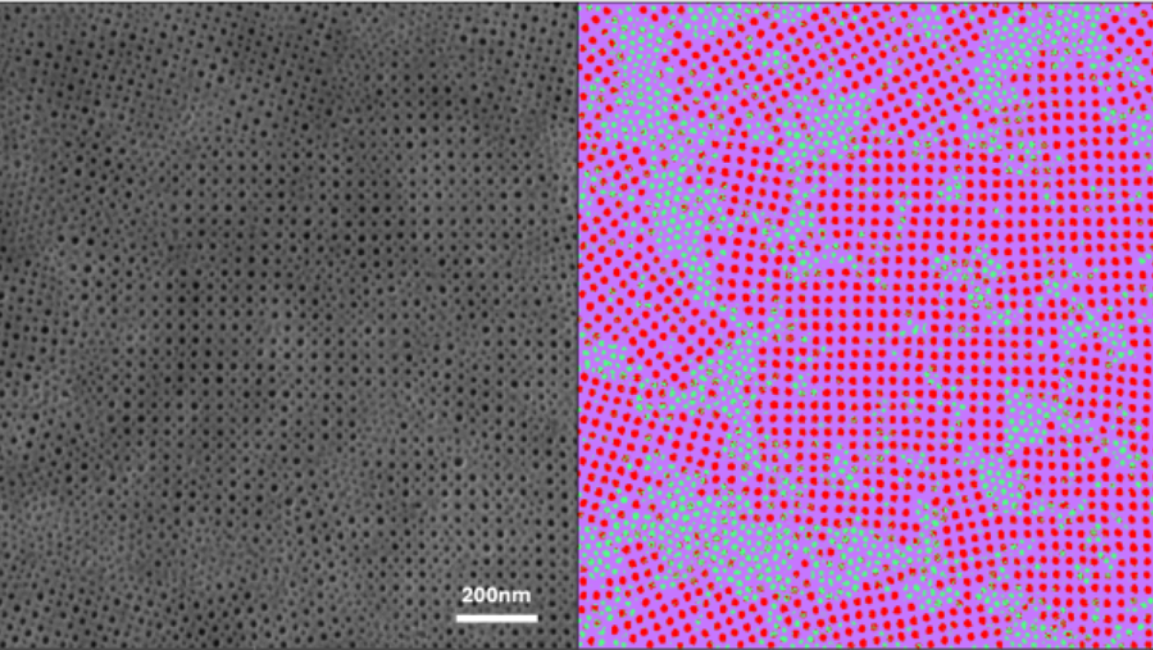 Side-by-side SEM and machine-learning segmentation reveal how different micelle chemistries pattern the membrane surface to enable chemical-affinity sorting.